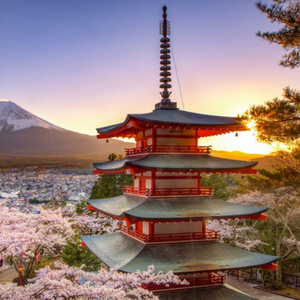 From Tokyo: Mount Fuji And Hakone Private Full Day Trip