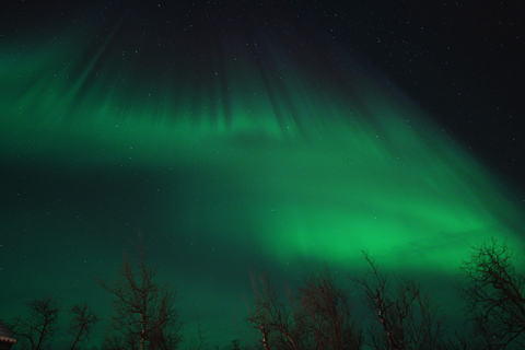 Tromsø: Northern Lights Tour with Local Guide and Photos