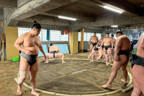Nagoya: Authentic Sumo Morning Practice (July Match)