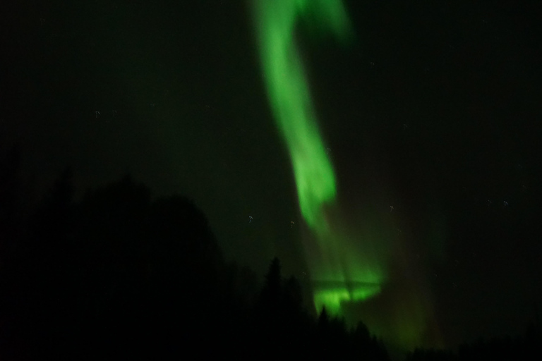 Rovaniemi Northern Lights – The Real Guaranteed Hunt