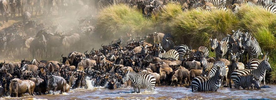 Safari de groupe de 4 jours dans le parc du Masaï Mara et le parc du lac Nakuru