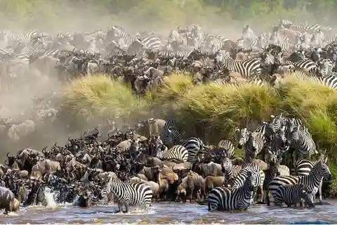 Safari en grupo de 4 días en el Parque Masaai Mara y Lago Nakuru