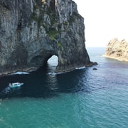 From Paihia: Hole in the Rock Cruise & Island Tour: 3 Hours From Paihia: Hole in the Rock Cruise & Island Tour: 3 Hours