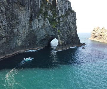 Z Paihia: Hole in the Rock Cruise & Island Tour: 3 godz.