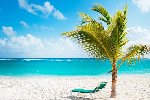 Fort Lauderdale: Margaritaville Hollywood Resort Day Pass