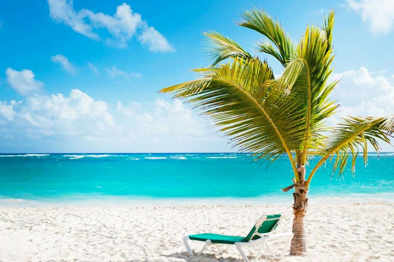 Fort Lauderdale: Margaritaville Hollywood Resort Day Pass