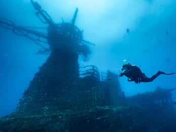 Басселтон / Дансборо : HMAS Swan Wreck Scuba Dive