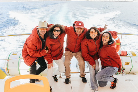 Puerto del Carmen: Dolphin-Watching Speedboat Tour with SwimLanzarote: 1.5-Hour Dolphin Watching Mini Cruise