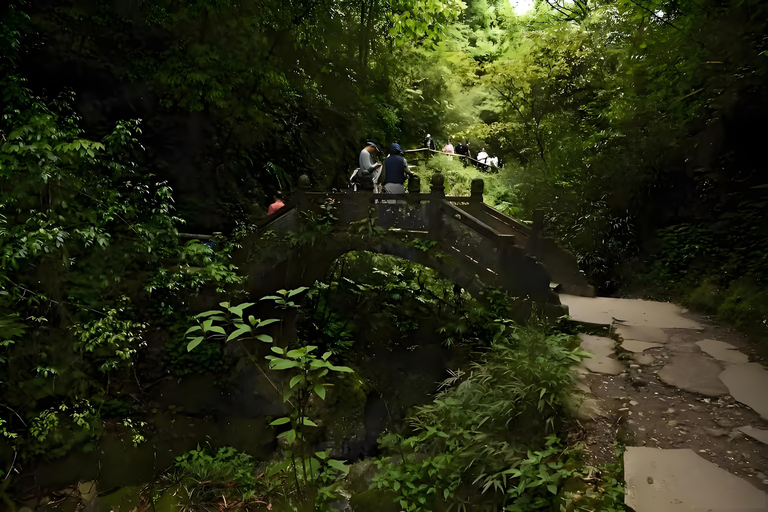 Dujiangyan: Mount Qingcheng Ticket