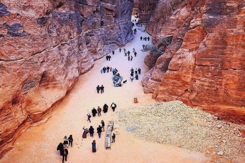1-Day Petra & Wadi Rum Safari from Amman