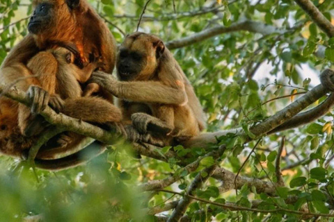 Wandelen door de jungle en het Sandoval meer | Hele dag