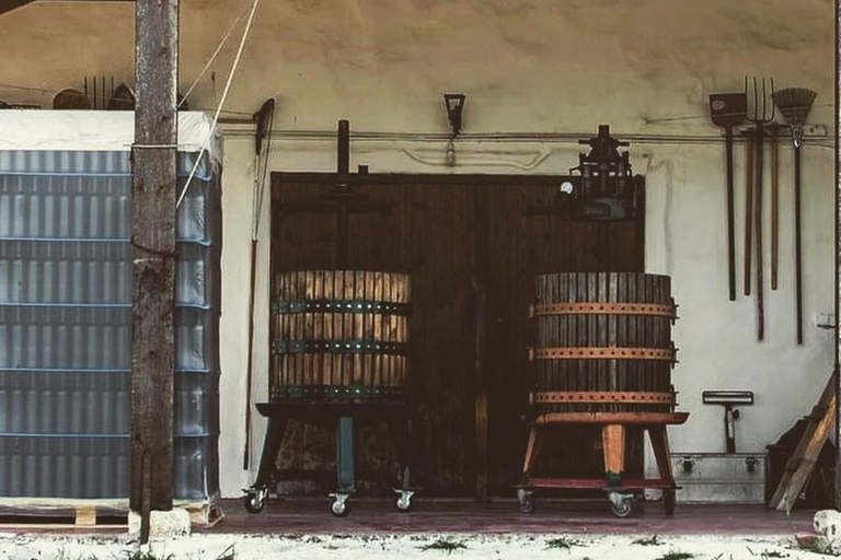 科孚岛：酒庄游览和品尝