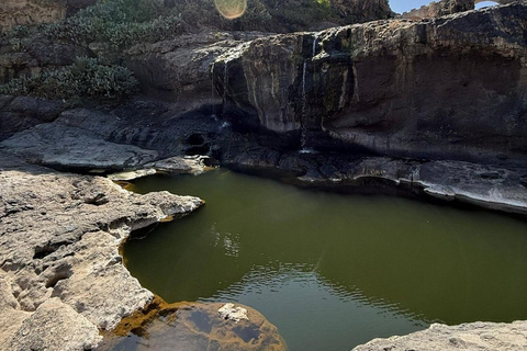 Addis Ababa: Debre Libanos Monastery Experience Tour