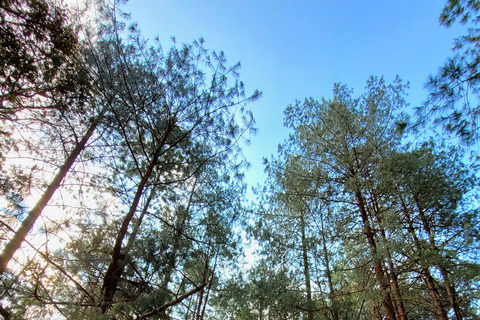 Oaxaca: Sierra Norte Ixtepeji Guided Hike & Lunch, Half-Day