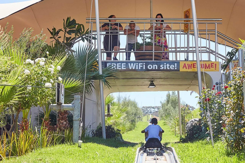 Kaapstad: Cool Running/Toboggan Adventure en ophaalservice vanaf je hotelKaapstad: Cool Running/Toboggan-avontuur en ophaalservice vanaf je hotel