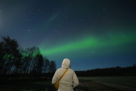 ⭐ Rovaniemi: Northern Lights Chase | Guarantee & Photos