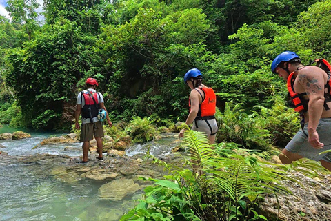 Cebu: Natação com tubarões-baleia e canoagem no KawasanTour em grupo: Natação com tubarões-baleia e canoagem no Kawasan