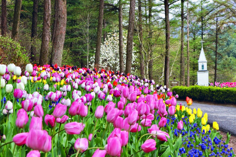 From Seoul: Garden of Morning Calm & Gangchon Rail Bike 8:10 am, Depart fr Hongik University station