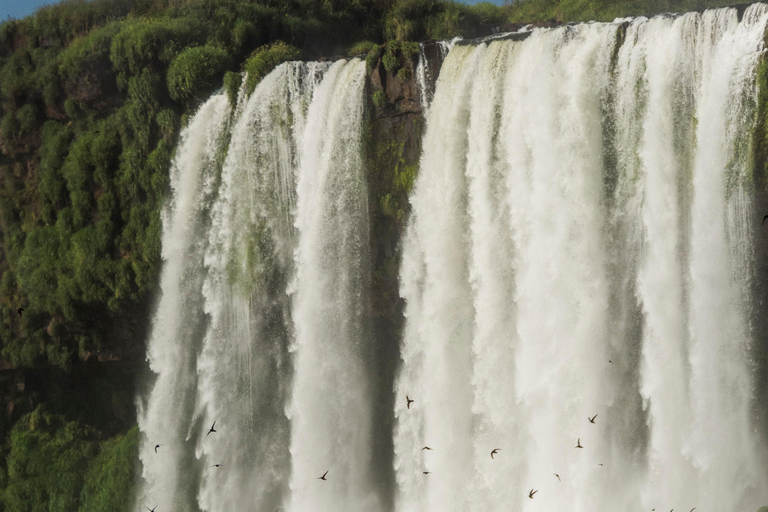 Iguassu watervallen: Braziliaanse kant tijdens een privétour