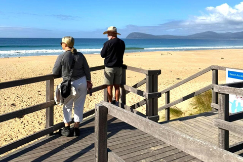 Bruny Island Discovery Day Tour