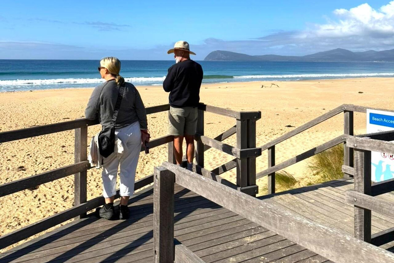 Bruny Island Discovery Day Tour
