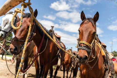 Copacabana Horseback Ride ALL INCLUSIVE - Medellín