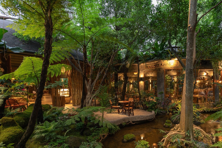 Chiang Mai: lo más destacado de Doi Inthanon (sin senderismo)Chiang Mai: Doi Inthanon Private Highlights (No Hiking)