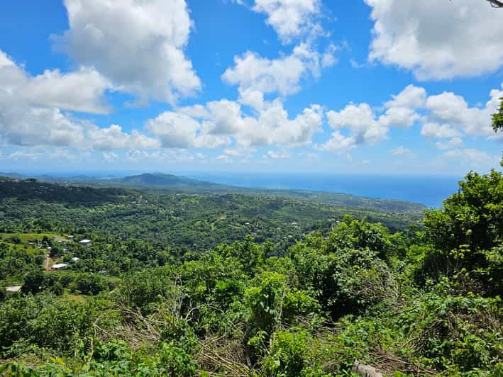 Saint Lucia: Piton Hike with Private Transportation
