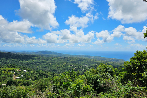 Saint Lucia: Piton Hike