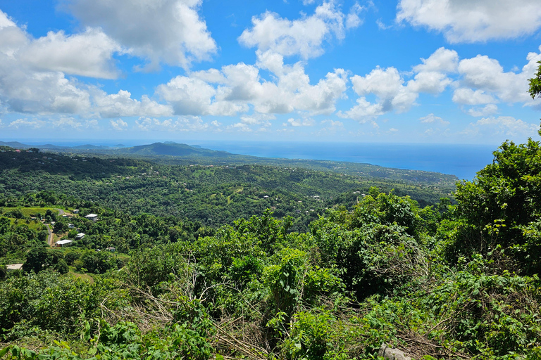 Saint Lucia: Piton Hike