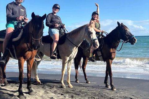 Vieques: Horseback Riding with Isla Nena Trail Rides