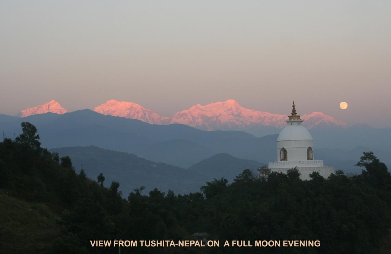 1-monatige buddhistische Kloster-Retreats in Lumbini