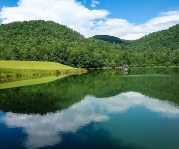 Północna Atlanta: Black Rock Mountain Park - wycieczka z przewodnikiem
