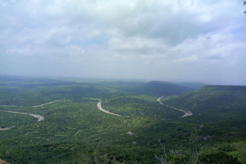 Shimba Hills Reserve Day Trip: From Mombasa and Diani