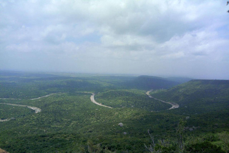 Shimba Hills Reserve Day Trip: From Mombasa and Diani