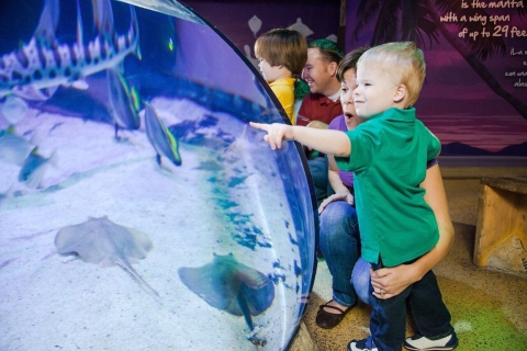 Orlando: SEA LIFE Orlando Aquarium