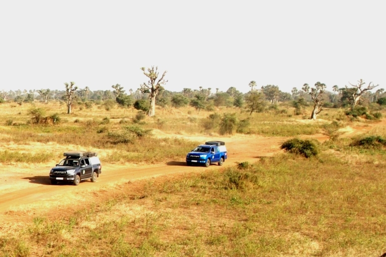 Senegal: 4x4 Camping Vehicle Rental with Rooftop Tent