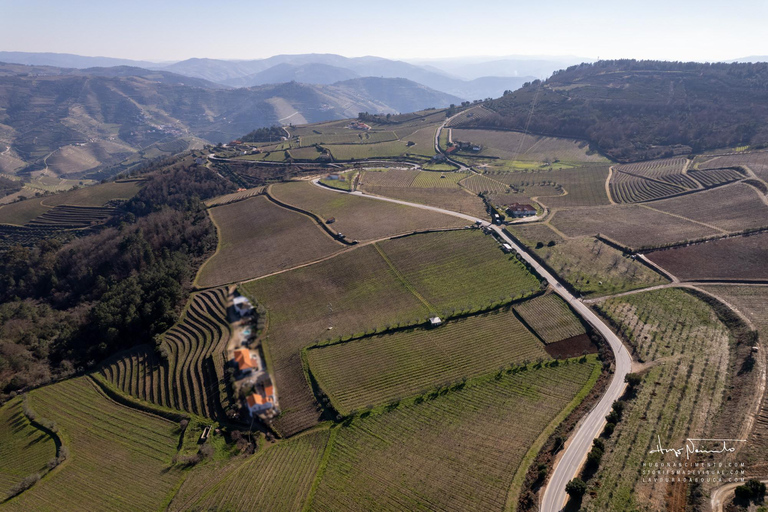 Douro Valley: Private Wine Tour with Lunch