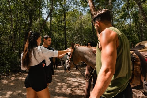 Cancun: Atv, Cenote, Horseback Riding and Tequila Tasting