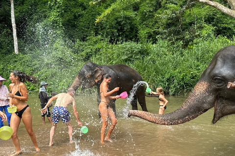 Chiang Mai : Sanctuaire des éléphants, sentier des moines et visite du Doi SuthepPrise en charge en hôtel à Chiang Mai Center