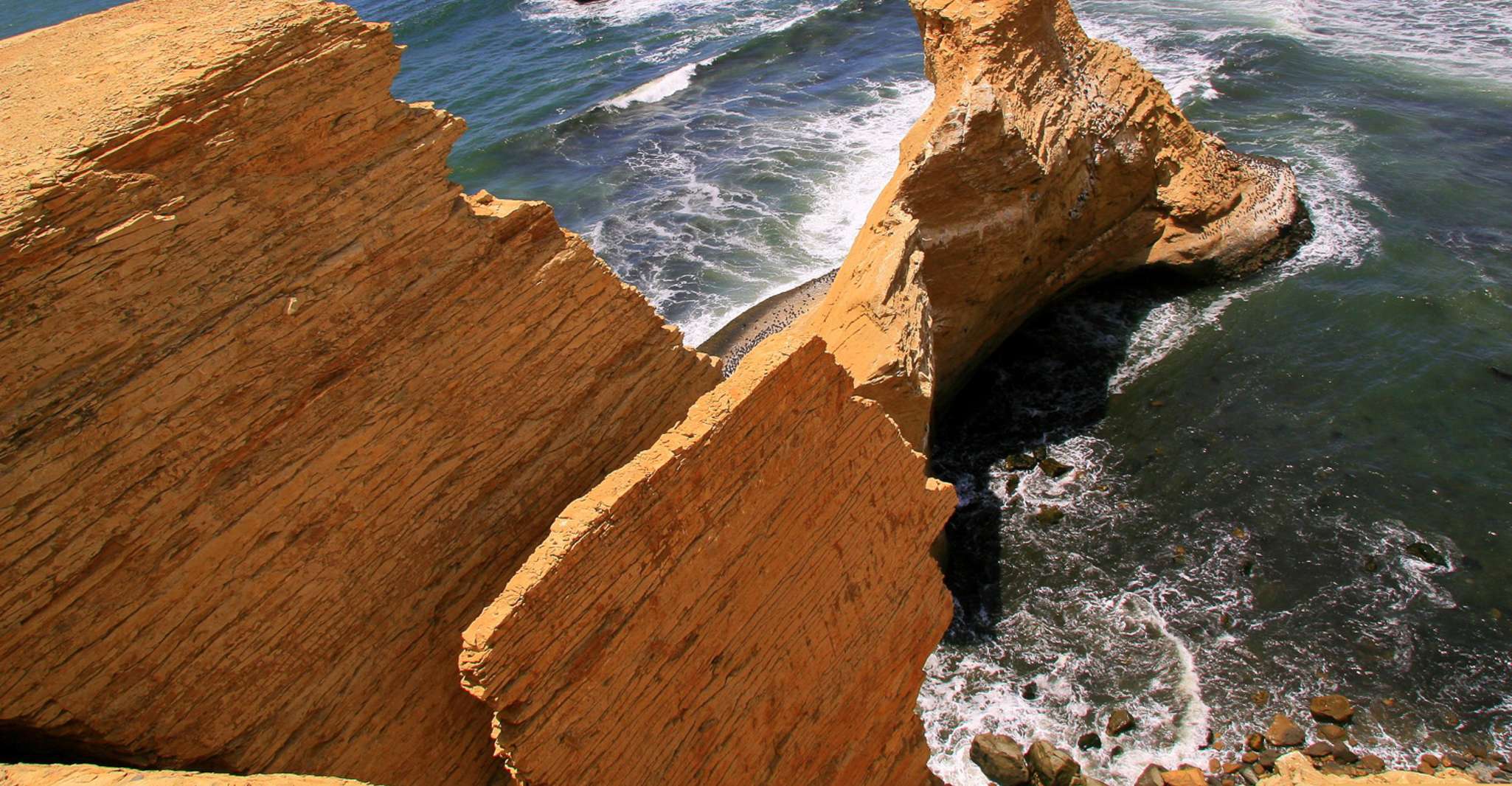 From Paracas, Ballestas Islands & Paracas National Reserve - Housity