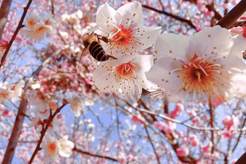 Shanghai: Hangzhou Tofu Ancient Trail Hiking by Train