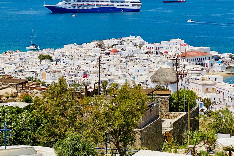 Guided Mykonos ATV adventure; Off-Road Tour with Beach Stop