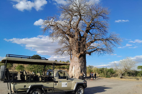 2 Day one night chobe safaris