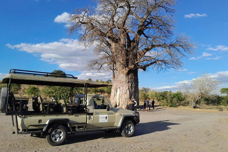 2 Day one night chobe safaris