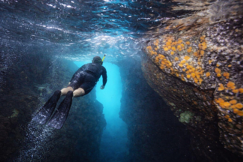 Ischia: Guided Snorkeling among Caves and Submerged Ruins