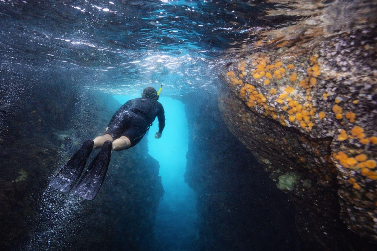 Ischia: Guided Snorkeling among Caves and Submerged Ruins