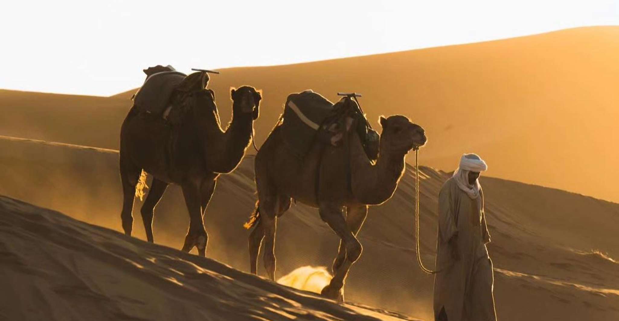 Doha: ATV/Desert Safari with Activities and Inland Sea Stop photo 11