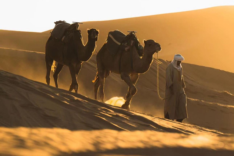 Safari nel deserto in transito privato con giro in cammello e mare internoSafari nel deserto condiviso