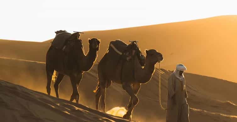 Doha: ATV/Desert Safari with Activities and Inland Sea Stop photo 11